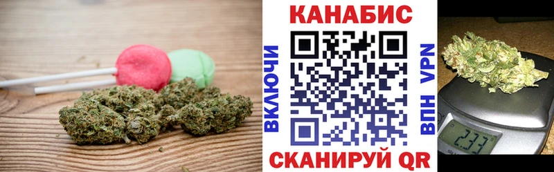 Cannafood конопля  Нахабино 