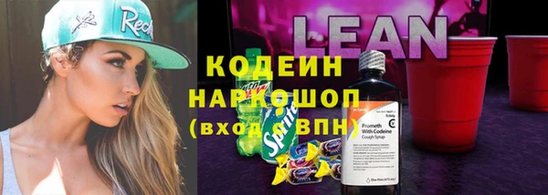 стаф Новозыбков