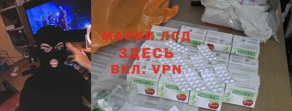 стаф Новозыбков