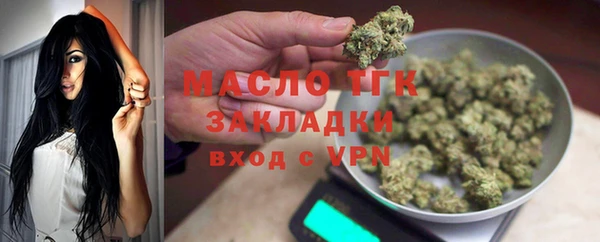стаф Новозыбков