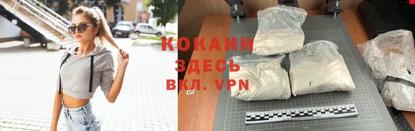стаф Новозыбков