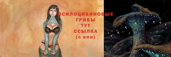 дживик Новокубанск