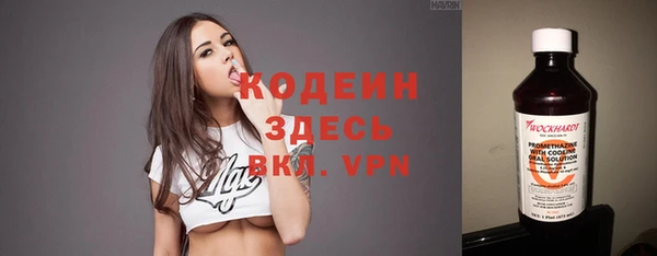 стаф Новозыбков