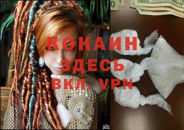 стаф Новозыбков