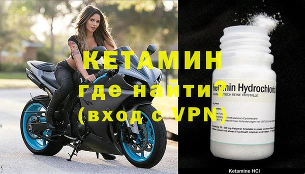 стаф Новозыбков