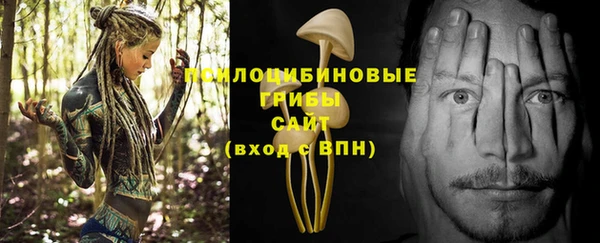 mdma Новодвинск