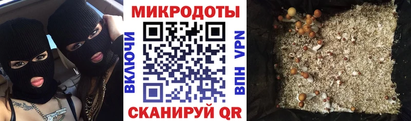 hydra зеркало  Нахабино  Галлюциногенные грибы Cubensis 